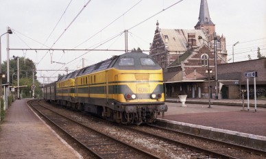 Jette - D8221.jpg